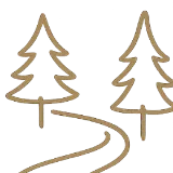 Life Transitions icon